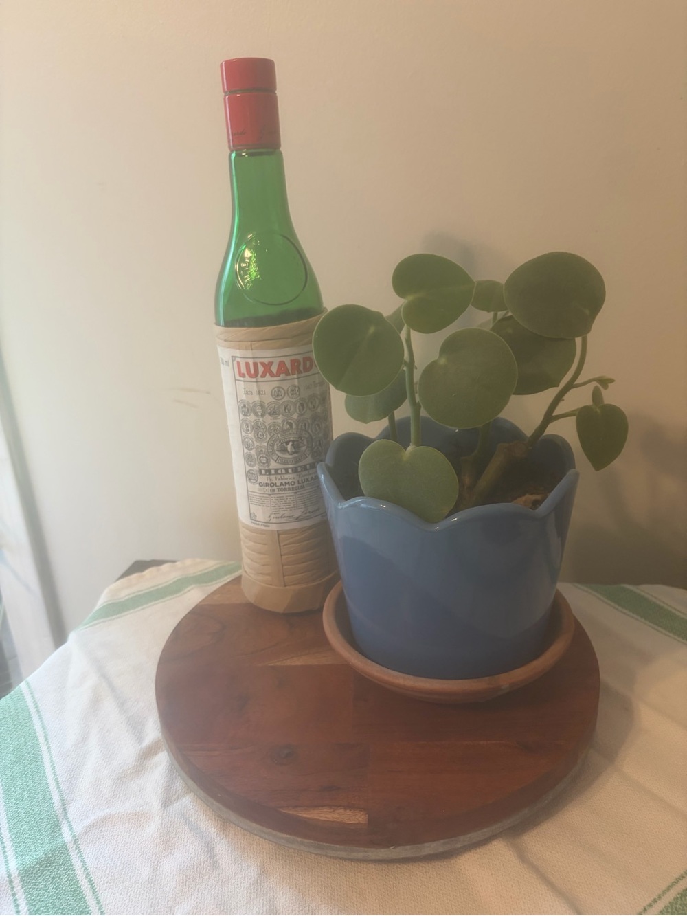 Hearth and hand by magnolia up-cycled round wood serving tray